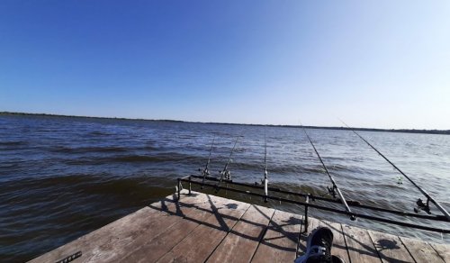 Рыболовное хозяйство Нептун в Киевской области