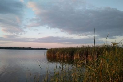Рыболовное хозяйство Нептун в Киевской области