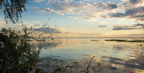 Рыболовное хозяйство Нептун в Киевской области