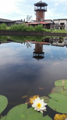 62123630_2354694168147689_6538074194662391808_o