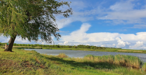 Риболовля на річці Чокрак с. Долинське 