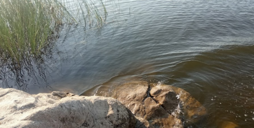 Рибалка на Бердянському водосховищі с. Радіонівк, Запорізька область