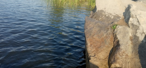 Рибалка на Бердянському водосховищі с. Радіонівк, Запорізька область