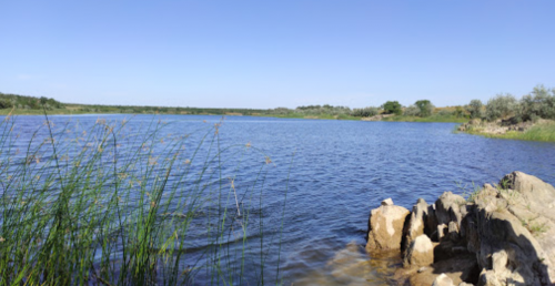 Рибалка на Бердянському водосховищі с. Радіонівк, Запорізька область
