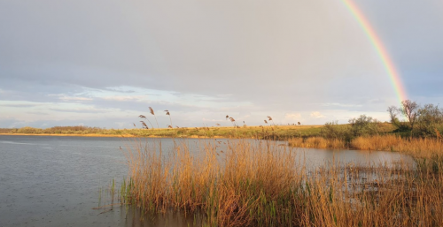 Рибалка на Бердянському водосховищі с. Радіонівк, Запорізька область