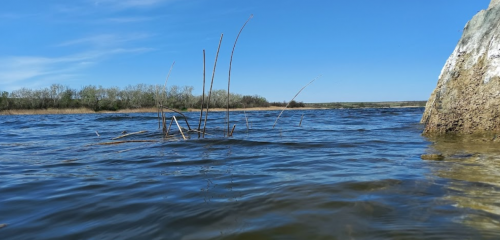 Рибалка на Бердянському водосховищі с. Радіонівк, Запорізька область