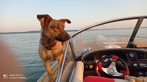 База відпочинку «Чайка» в селі Нагірне