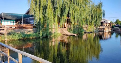 База відпочинку «Дашкині Ставки» в Одеській області