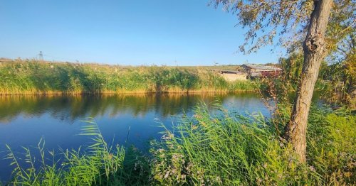 База відпочинку «Дашкині Ставки» в Одеській області