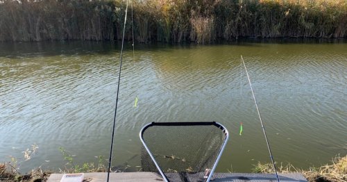 База відпочинку «Дашкині Ставки» в Одеській області