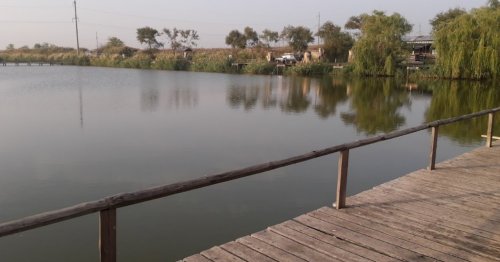 База відпочинку «Дашкині Ставки» в Одеській області