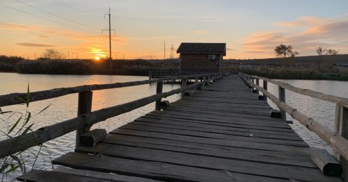 База відпочинку «Дашкині Ставки» в Одеській області