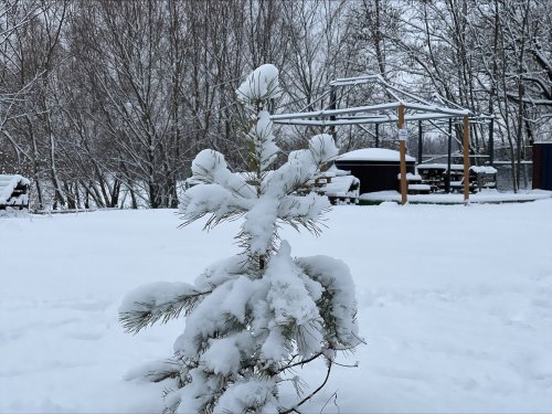 База відпочинку «Letky» в Київській області