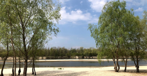 База відпочинку «Letky» в Київській області