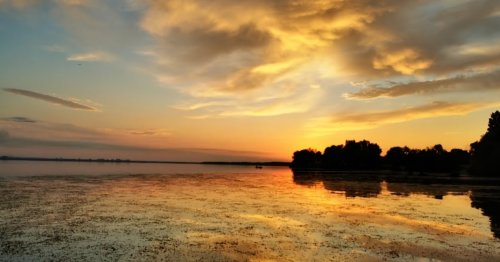 База відпочинку «ROYAL glamping» в селі Кийлів у Київській області