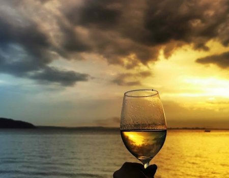 База відпочинку «ROYAL glamping» в селі Кийлів у Київській області