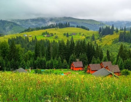 Эко-курорт «Хутор Тихий»