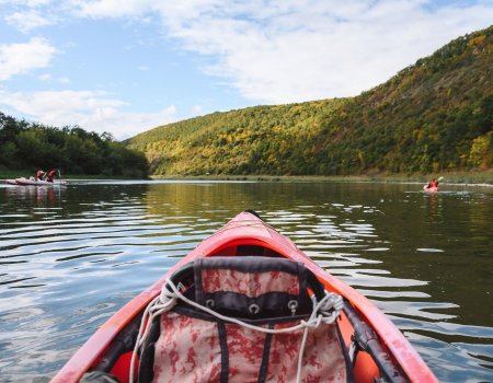 Рибалка та кемпінг на Дністрі «Білий Бізон»