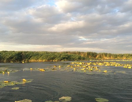 Рыбацкая база «У ЮРЫ »