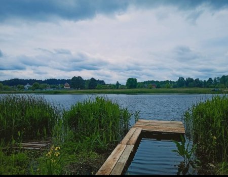 Риболовля та відпочинок на озері: Шибеники у Київській області