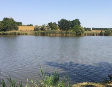 Риболовля та відпочинок у селі Мілова Балка Кіровоградської області