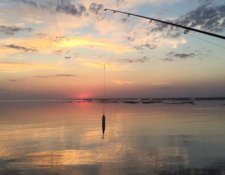 Рыболовная база на Днепре «Savage - eco club