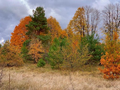 f13a54320e8b48db85dd108fafa913b5