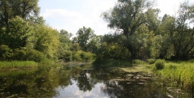 Гостиный двор на хуторе Крещатик