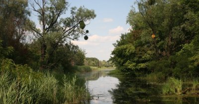 Гостиный двор на хуторе Крещатик