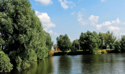 Комплекс відпочинку «Щасливий Рибачок»