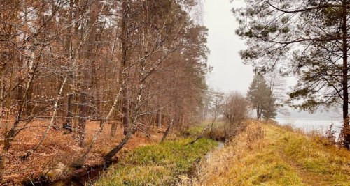 Рибалка на озері Майдан 