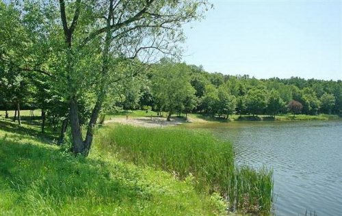 Рибалка на озері в с. Великі Береги