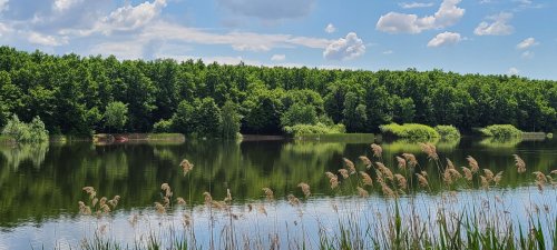 Рибалка на озері в с. Великі Береги
