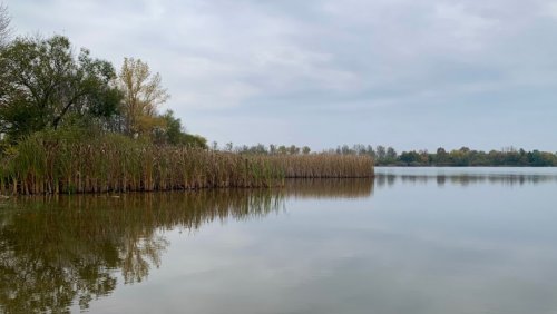 Рибалка на озері в с. Великі Береги
