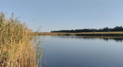 Рыбалка базе отдыха «Дом рыбака»