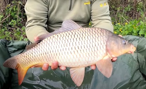 Рыбалка Гаи- Борозенка, Роменский район Сумская область