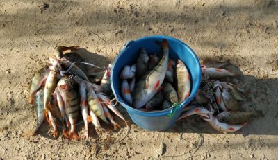 Рыбалка и отдых на базе «Лабаз»