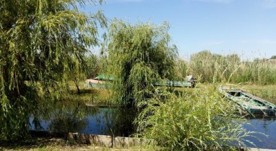 Рыбалка и отдых на базе «Лабаз»