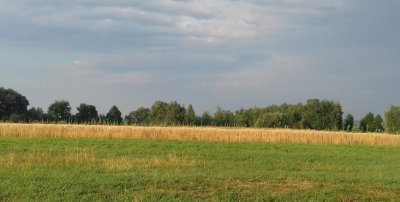 Рыбалка и отдых на Озере «Торфяне»