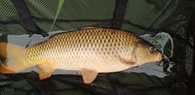 Рыбалка и отдых на Озере «Торфяне»