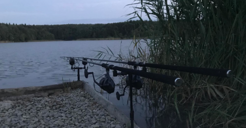 Озеро «Доброгостівське водосховище» у Львівській області