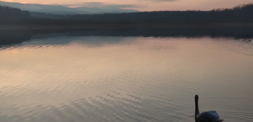 Озеро «Доброгостівське водосховище» у Львівській області5