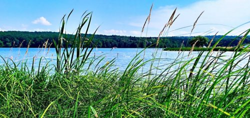 Озеро «Доброгостівське водосховище» у Львівській області