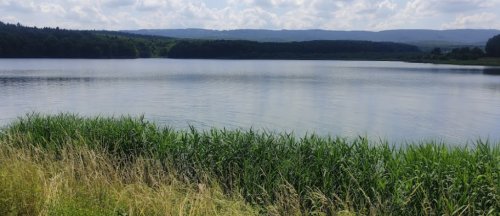 Озеро «Доброгостівське водосховище» у Львівській області