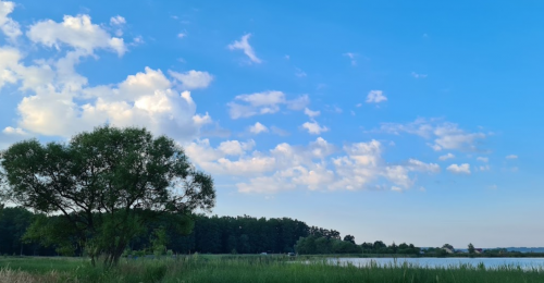 Озеро «Доброгостівське водосховище» у Львівській області