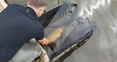 Озеро «Доброгостівське водосховище» у Львівській області
