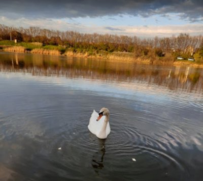 Рыбалка и отдых на водоеме «Заря»