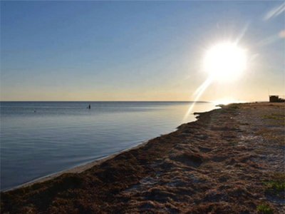 Рыбалка на базе отдыха «Елена» 