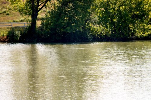 Риболовля на базі відпочинку 