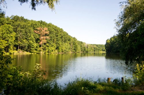Риболовля на базі відпочинку 